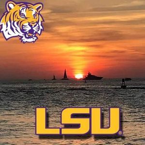 Meet your Posher, Carlos